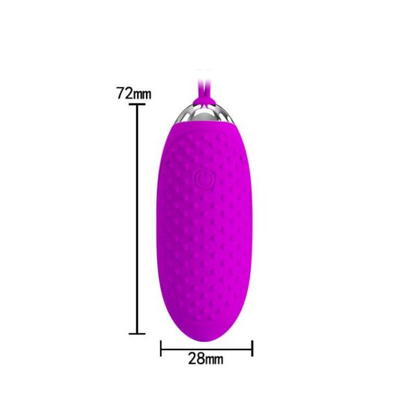 Huevo Vibrador Joanna USB Purpura