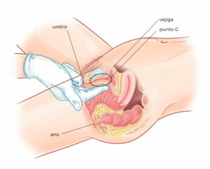 Cómo estimular el punto G para Squirting