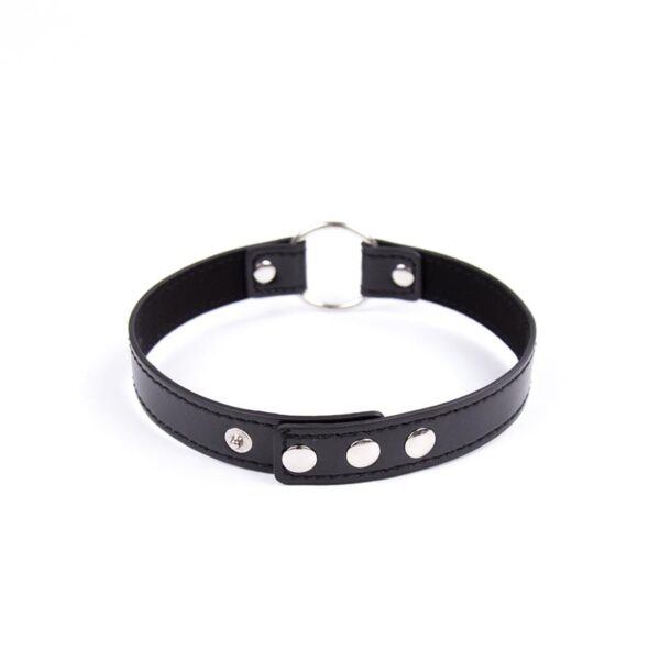 Collar con Aro Ajustable 38,2 cm Negro