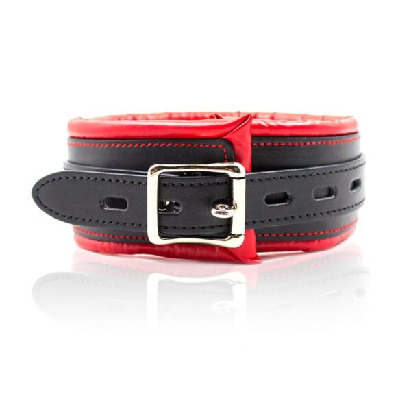 Collar con Correa de Metal e Interior Acolchado Negro/Rojo