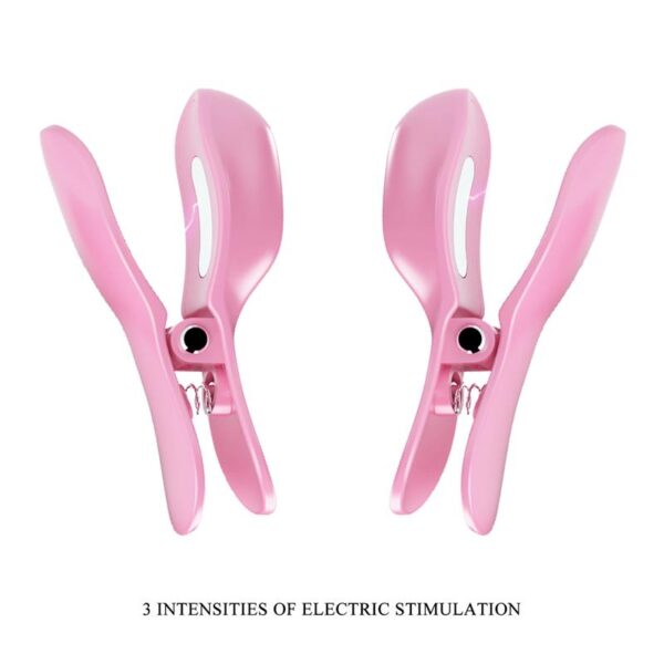 Surprise Box Huevo Vibrador y Pinzas para Pezones con Electro Estimulación Rosa