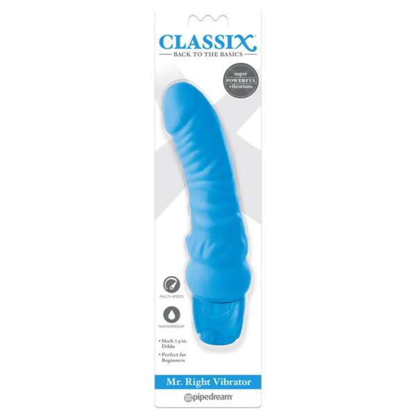 Vibrador Mr. Right Azul